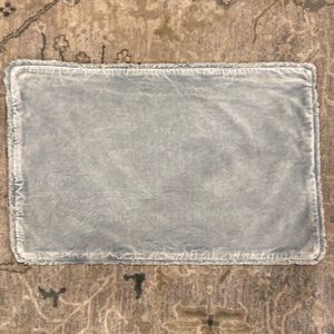 Pottery Barn Velvet Pillow Cover